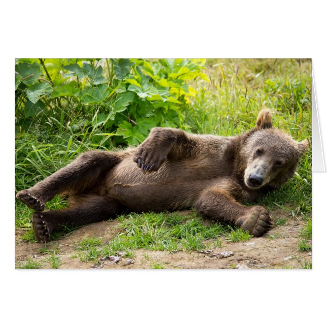 Bear trasero izquierdo (Anverso (Horizontal))
