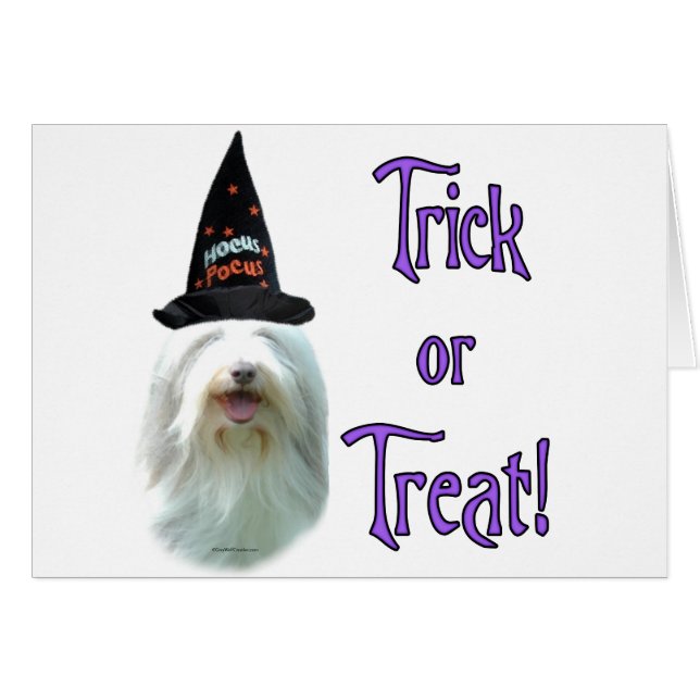 Bearded Collie Trick (Anverso (Horizontal))