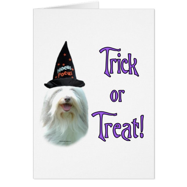 Bearded Collie Trick (Frente)