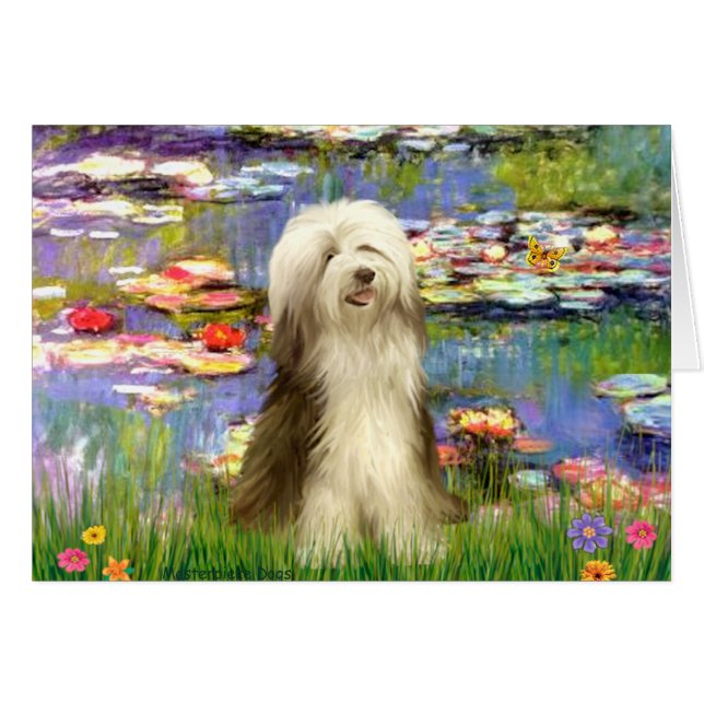 Beardie 16 - Lilies 2 (Anverso (Horizontal))