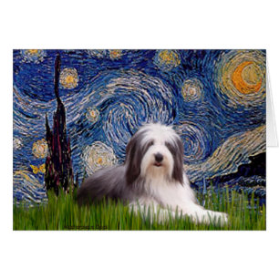 Beardie 2 - Noche estrellada