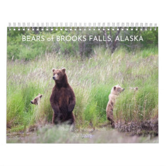 Bears of Brooks Falls - Calendario 2021