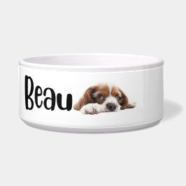 Beau - cuenco personalizado para perros y gatos