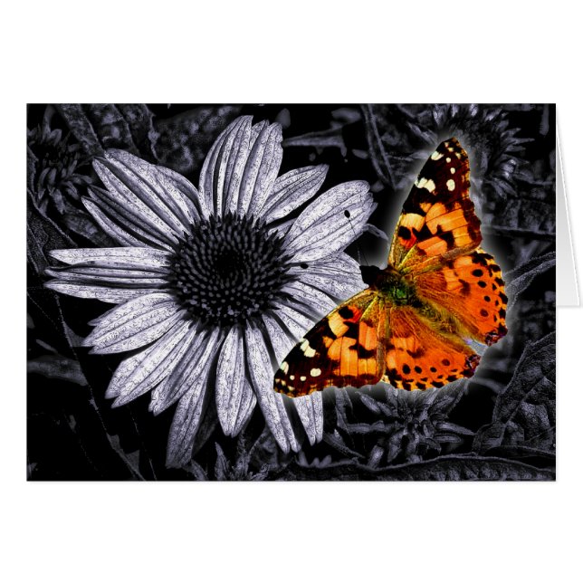 Beautifly (Anverso (Horizontal))