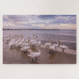 Beautiful Swans in the Morning Puzzle