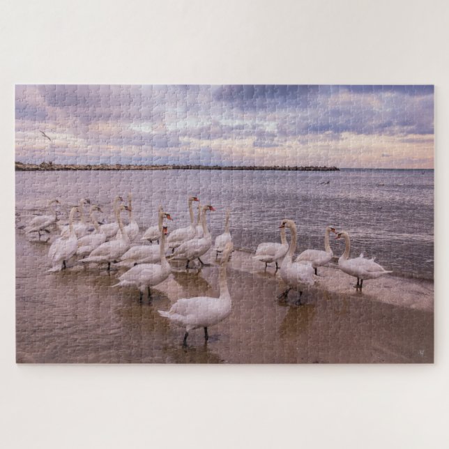 Beautiful Swans in the Morning Puzzle (Horizontal)