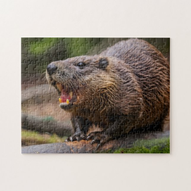 Beaver Jigsaw Puzzles (Horizontal)