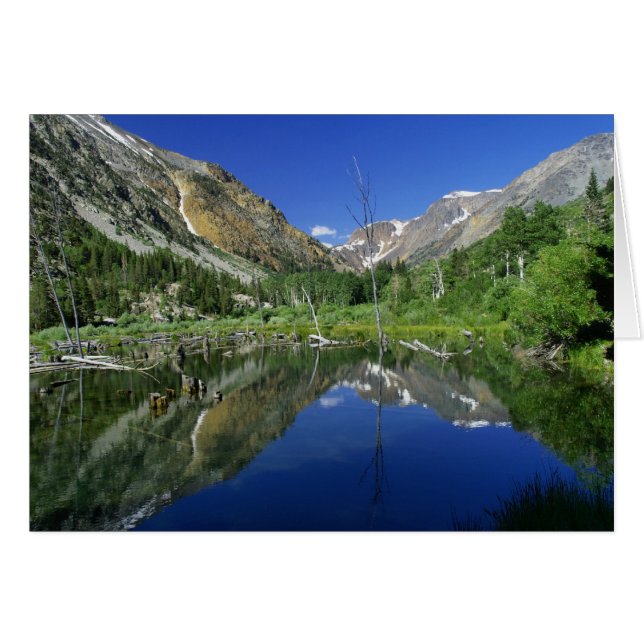 Beaver Pond, cañón Lundy (Anverso (Horizontal))