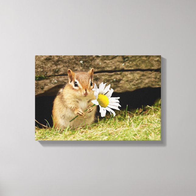 Bebé adorable Chipmunk con lienzo envuelto de marg (Anverso)