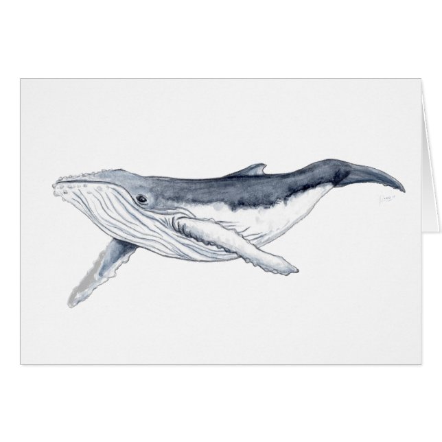 Bebe ballena yubarta (Anverso (Horizontal))