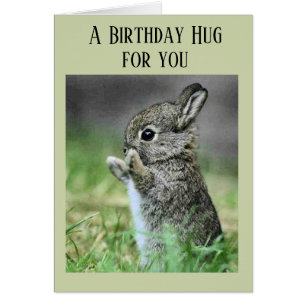 Bebé Bunny Birthday Hug