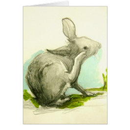 Bebé Bunny Escratizando Su Oído