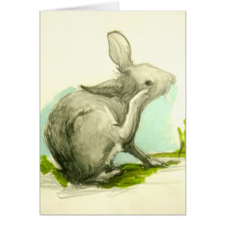 Bebé Bunny Escratizando Su Oído