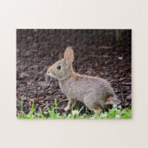 Bebé Bunny Jigsaw Puzzle