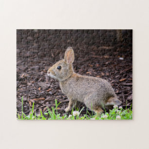 Bebé Bunny Jigsaw Puzzle