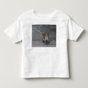 Bebé Camiseta del niño de la ardilla