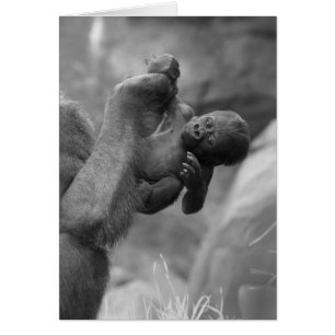 Bebé colgante del gorila