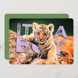 Bebé de Nick David - invitación de la ducha del