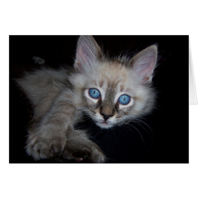 Bebé de ojos azules (Anverso (Horizontal))