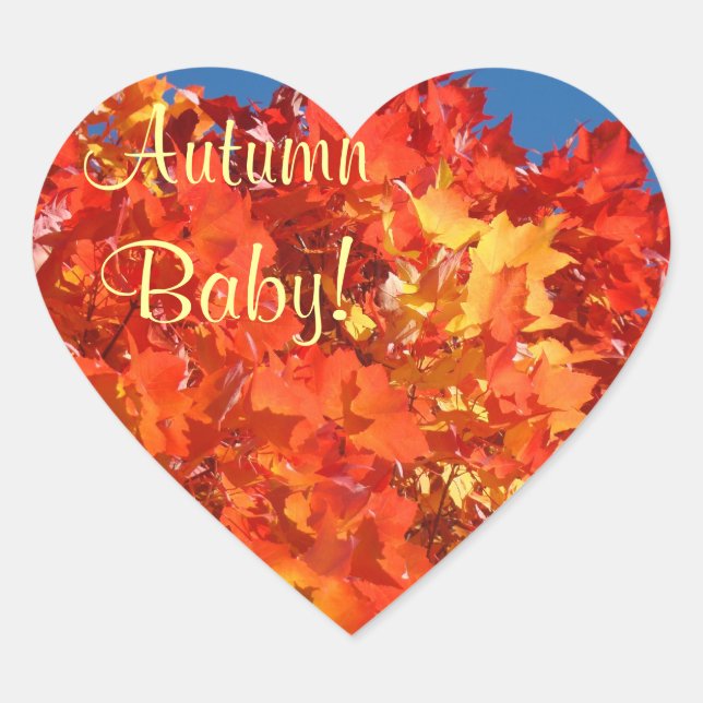 ¡Bebé de Otoño! pegatinas Hojas de Árbol de Otoño  (Anverso)