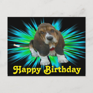 Bebé de postales Basset Sheldon Feliz cumpleaños