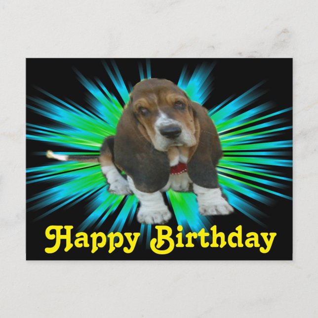 Bebé de postales Basset Sheldon Feliz cumpleaños (Anverso)