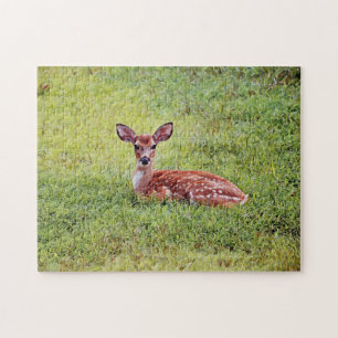 Bebé Deer Cute Fawn rompecabezas del arte