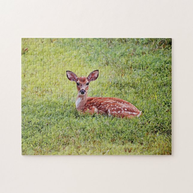 Bebé Deer Cute Fawn rompecabezas del arte (Horizontal)
