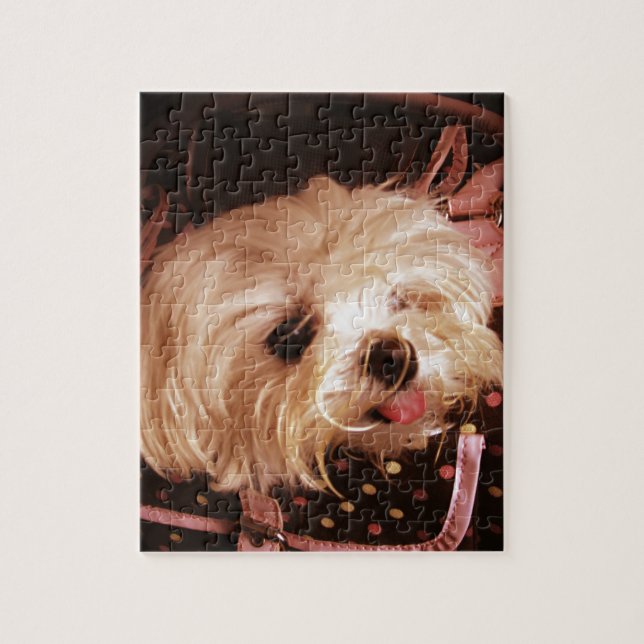 Bebé en un rompecabezas de pipa maltesa (Vertical)