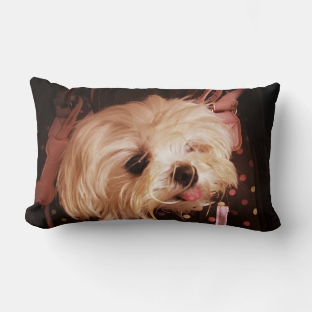 Bebé en una bolsa, almohada lumbar de cachorro mal (Anverso)