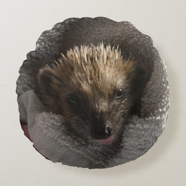 Bebé Hedgehog con almohada redonda (Anverso)