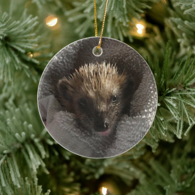 Bebé Hedgehog en ornamento abierto (Árbol)