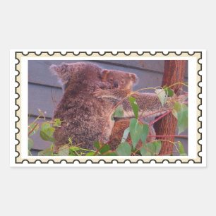 Bebé koala Sello falso
