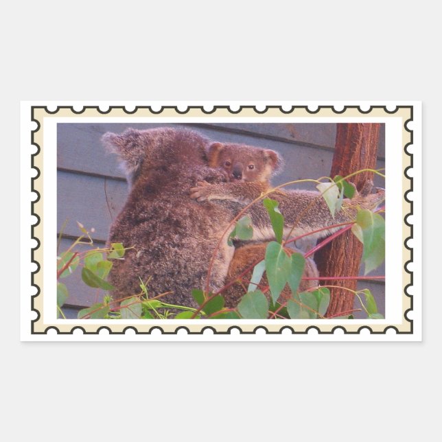 Bebé koala Sello falso  (Anverso)