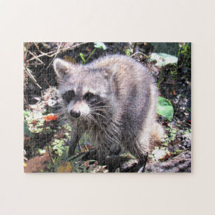 Bebé lindo Raccoon Foraging Jigsaw Puzzle