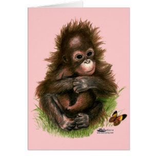 Bebé orangután y mariposa