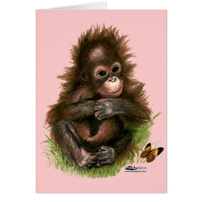 Bebé orangután y mariposa (Frente)