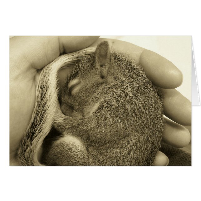 Bebé somnoliento (Anverso (Horizontal))