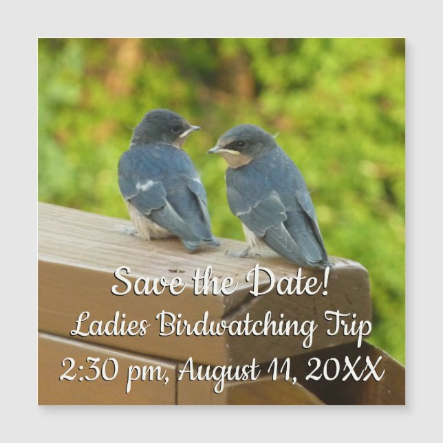 Bebé Traga fotografías de aves naturales (Anverso)