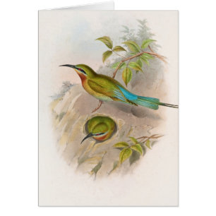 Bebeater de Filipinas (1850-1883)