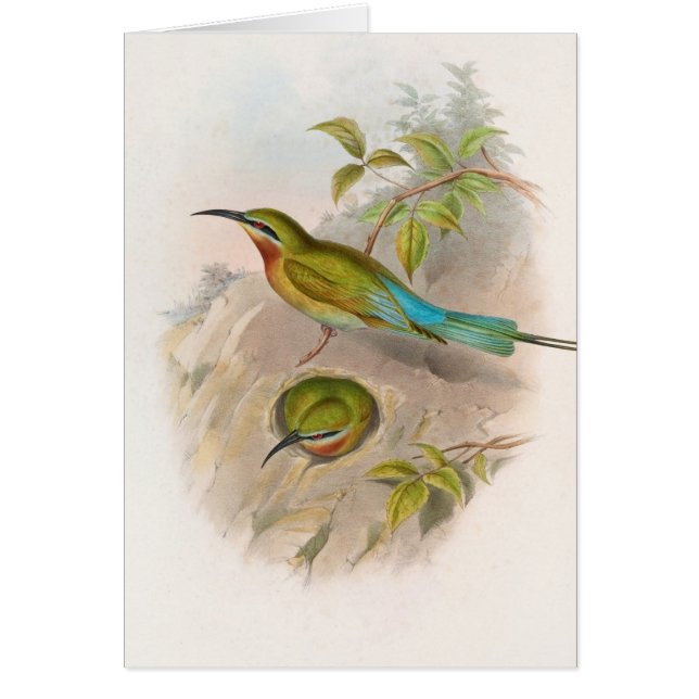 Bebeater de Filipinas (1850-1883) (Frente)