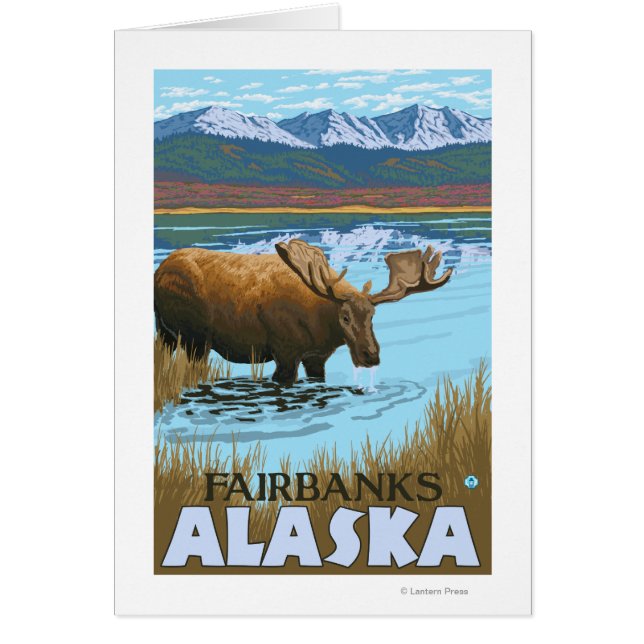 Beber de alce en el lago - Fairbanks, Alaska (Frente)