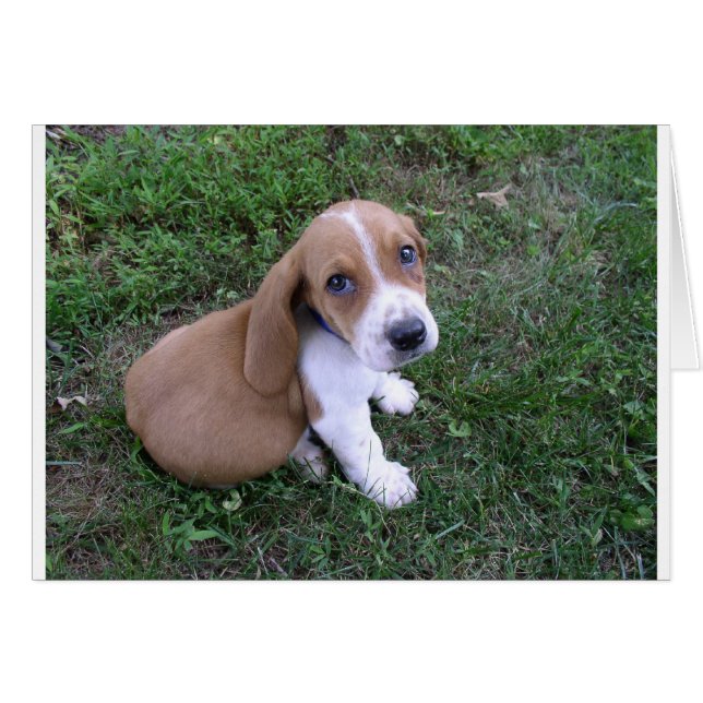 bebés (8) (Anverso (Horizontal))