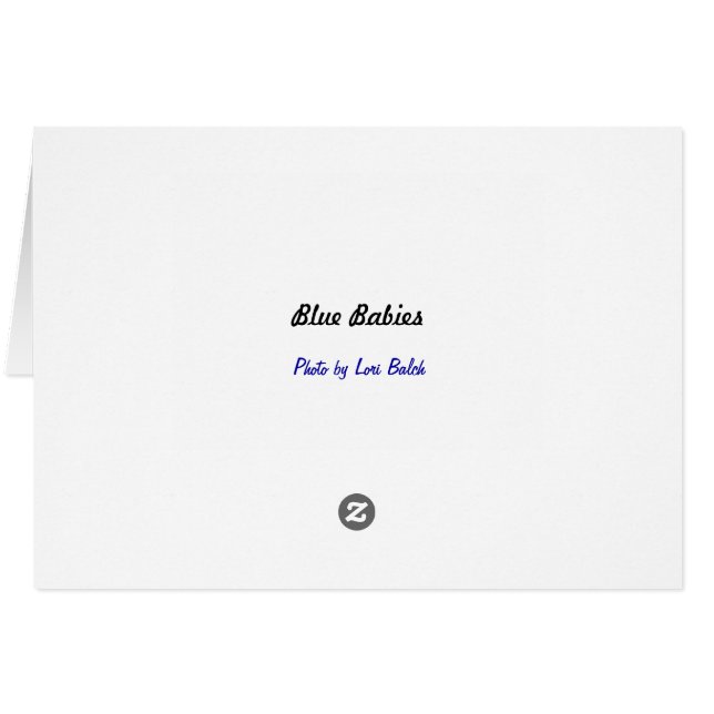 Bebés azules (Reverso Horizontal)