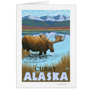 Bebida de alce en el lago Curry, Alaska