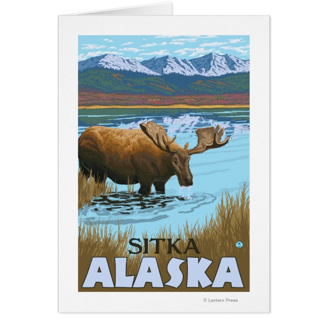 Bebida de alce en el lago Sitka, Alaska (Frente)