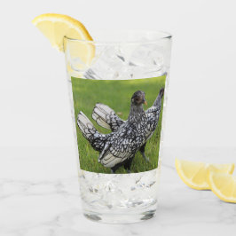 Bebida de los colectores de pollo Bantam en blanco