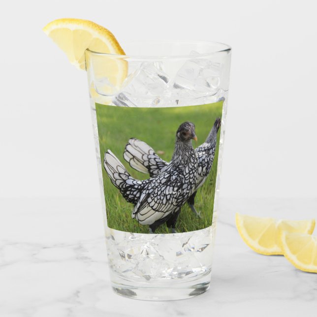 Bebida de los colectores de pollo Bantam en blanco (Anverso (hielo))