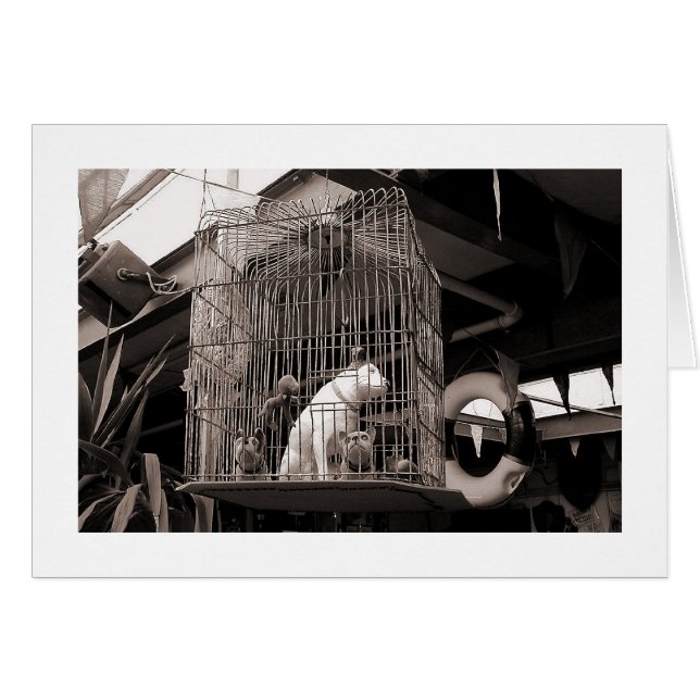 Bebidas enjauladas (Anverso (Horizontal))