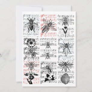 Bebidas Flores Hoja Notas Musicales Collage Arte